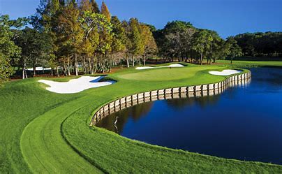 THE INNISBROOK RESORT & GC