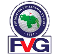 FVG Logo